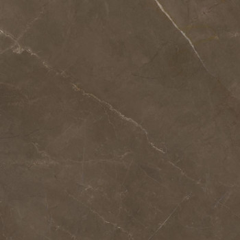 Керамогранит Марбл Тренд Пульпис (Marble Trend Pulpis) K-1002/MR 600х600 коричневый матовый Kerranova